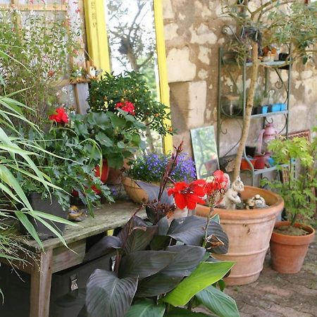 Bed and Breakfast Les Petites Mirabelles Noyers-sur-Cher Exteriér fotografie
