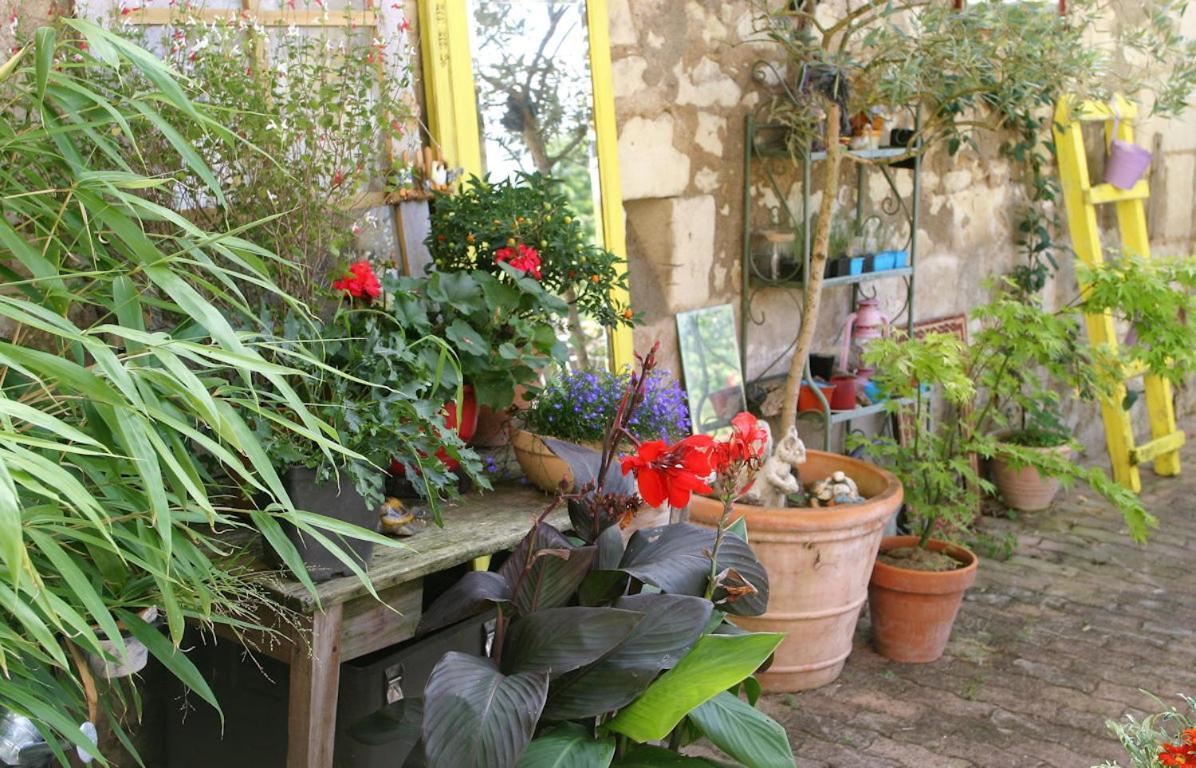 Bed and Breakfast Les Petites Mirabelles Noyers-sur-Cher Exteriér fotografie